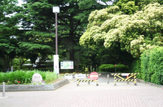 千葉都市モノレール「千葉公園駅」下車すると直ぐに千葉公園です。